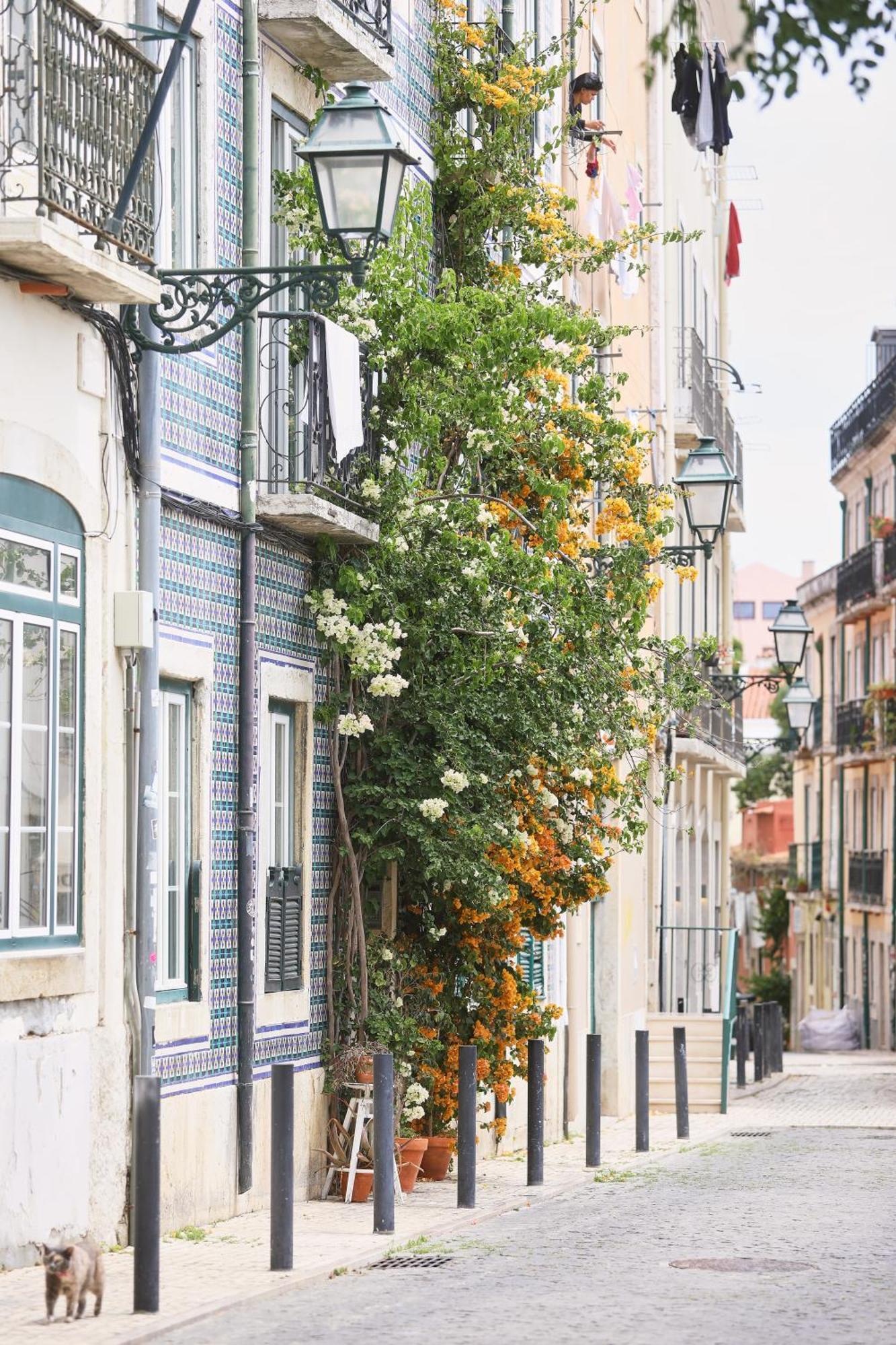 Bica Little House By Spoton Apartments Lisbon Ruang foto